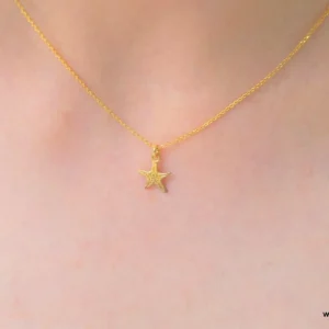 Minimalist Starfish Necklace, Tiny Gold Plated Silver (Dainty Charm)